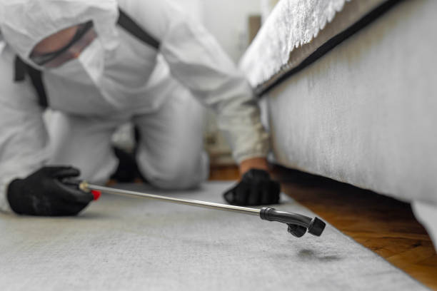 Professional Pest Control technician working in Dickson, OK