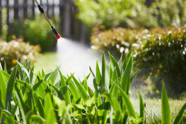 24/7 Emergency Pest Control experts in Dickson, OK