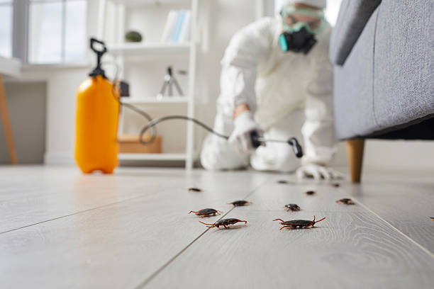 Affordable Pest Control solutions in Dickson, OK